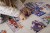 pol_pl_Mudpuppy-Puzzle-konturowe-Dom-na-Marsie-100-elementow-5-9247_27.jpg