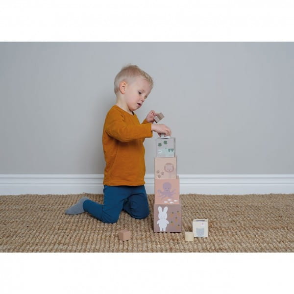 77e83a4ece1a42a4ccef6c767a079005