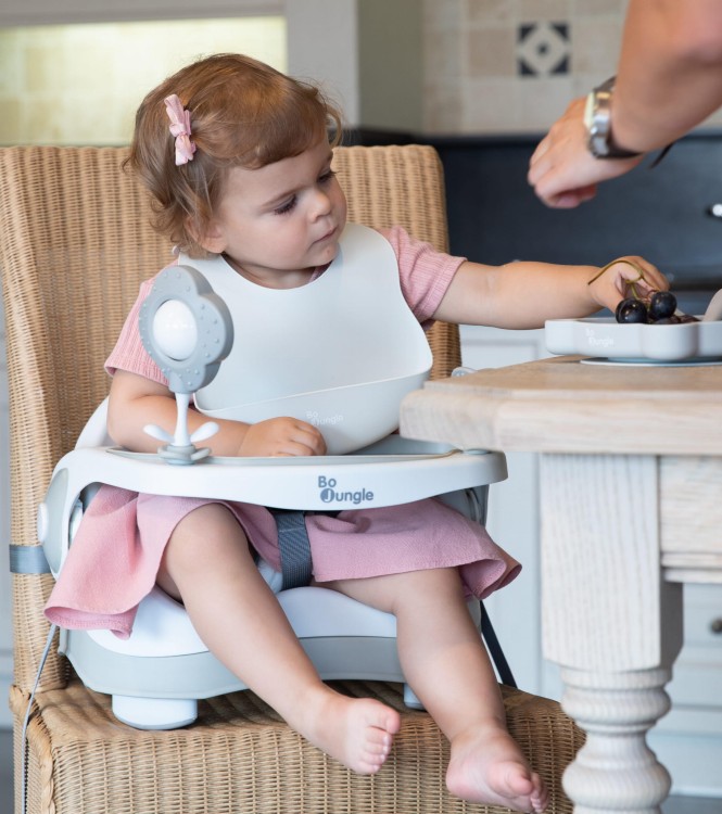 8bc719b098a86bf0b8cee633817d29ee