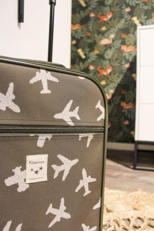 a80dff48ad4ead2da84382c03dd192c8