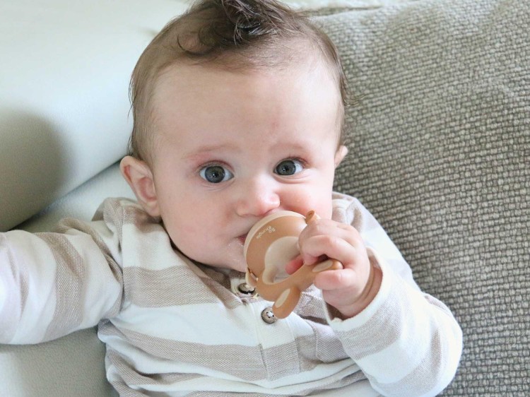 bdaa6681774559977fb9de404bb09490