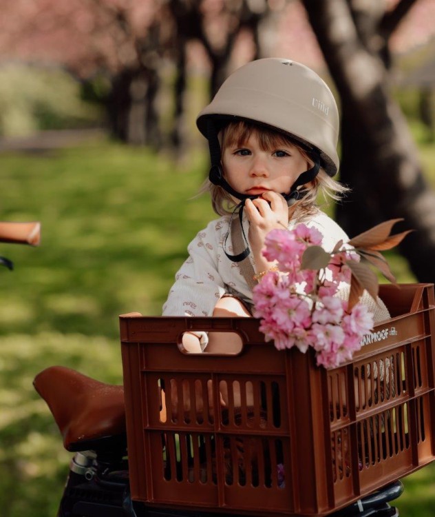 7f9bc7d9e73a8f3483aea86bb7969515