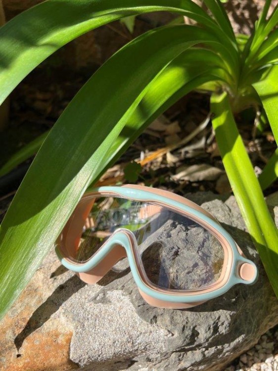 166ee1b71978c668fad04d146cabd34e