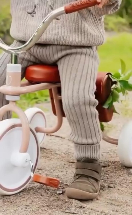 11460d070698569c54c6804ec6ee89a6