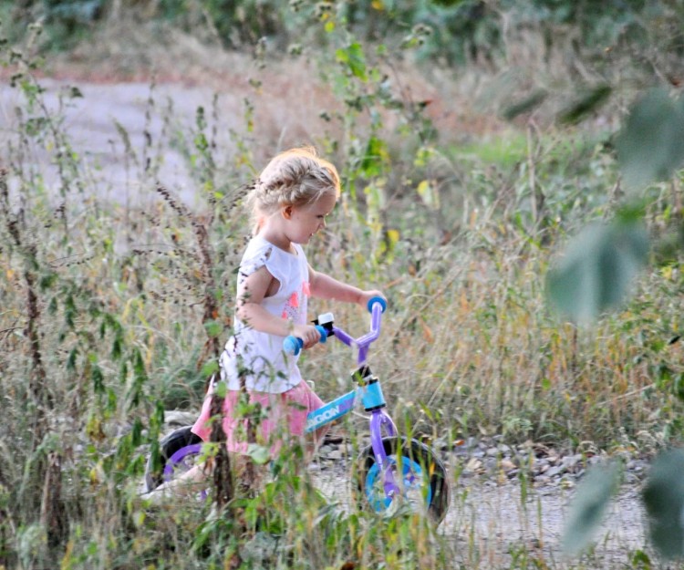 e0ea7aabc0dce071cb056459e17e0040