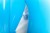 4198a2593b3eef6d506775a771542833