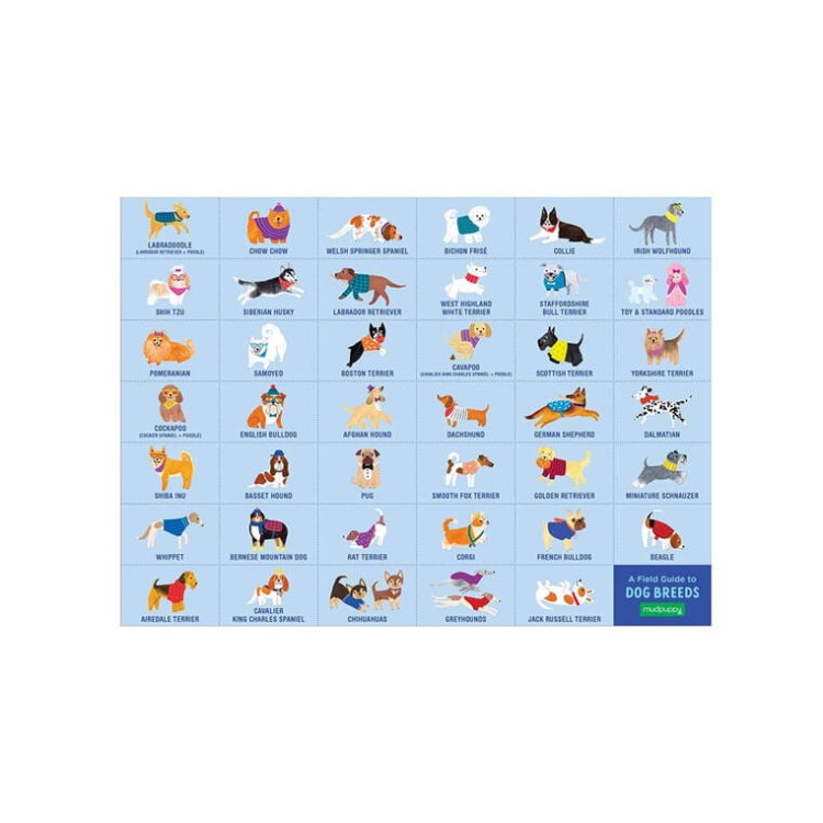 a81eea487d9d539f1c277781ed38f7af