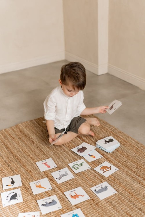 33dbb2e330146f88a2e37dd55a0d1a5c