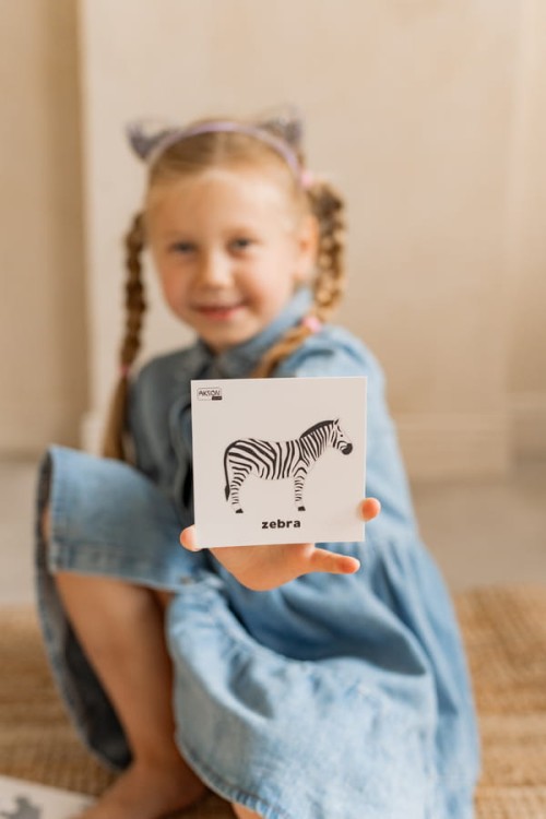 419e156bf0330868eff4196ef61fd6af