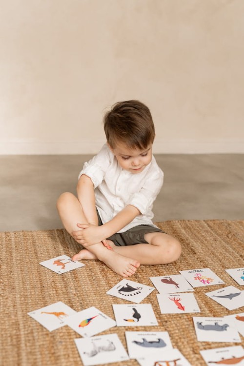 cd130a37df3f68c44ea109cec0d1092b