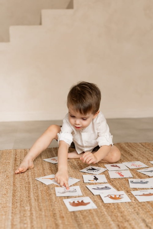 2f6fc6468954b6e785faf5e1f96800e4